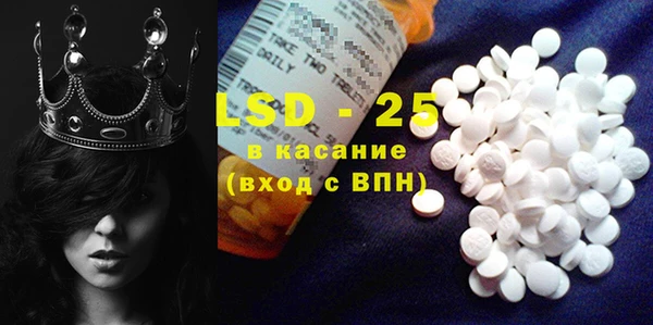 индика Билибино
