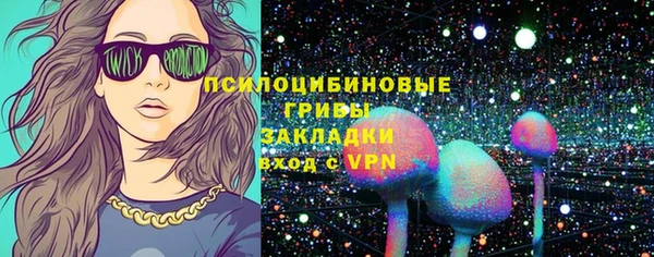 МДПВ Новозыбков