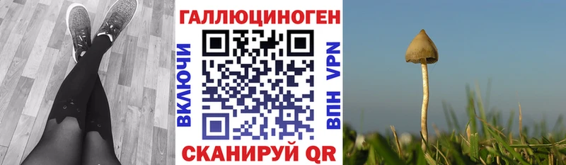 Псилоцибиновые грибы прущие грибы  kraken tor  Заводоуковск 