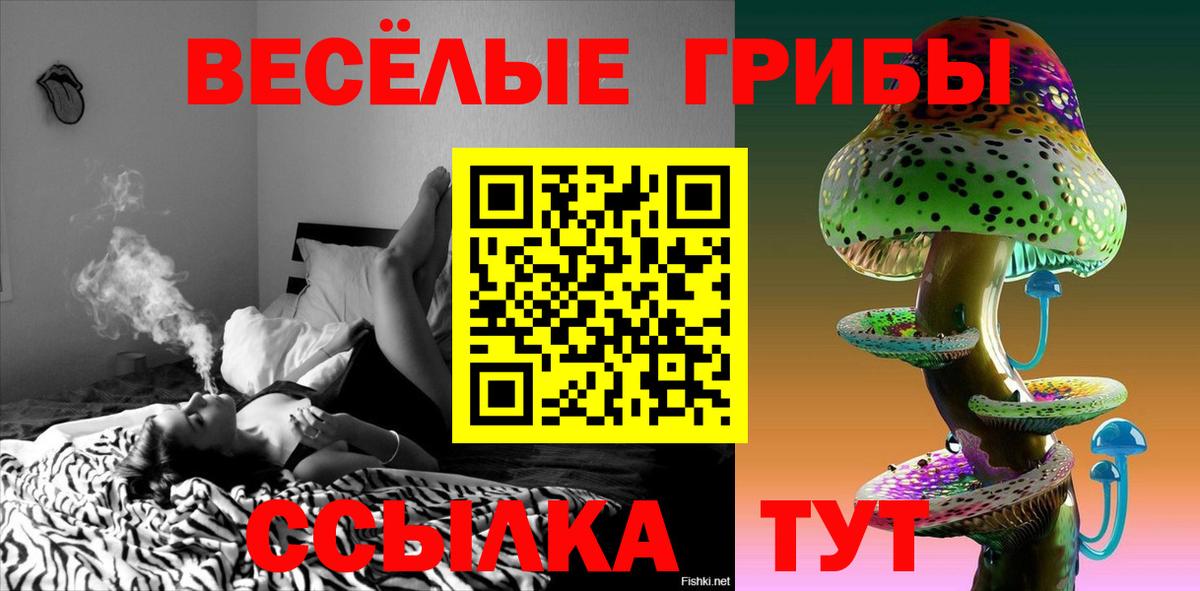Галлюциногенные грибы Psilocybine cubensis  Вход с VPN  купить наркотик  Заводоуковск 