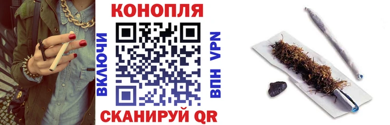 Канабис Ganja hydra Заводоуковск