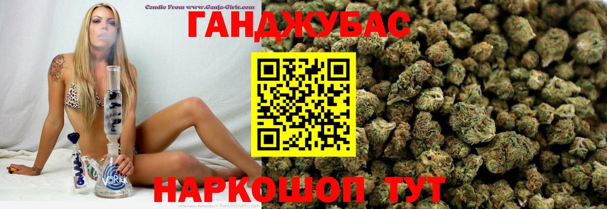 Конопля AK-47  Шишки марихуана White Widow  Бошки Шишки план  Бошки Шишки ГИДРОПОН  Вход с VPN  Заводоуковск 